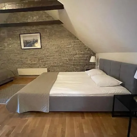 Old Town - Muurivahe Lägenhet *